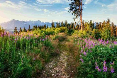 Zakopane - miasto tysiąca wrażeń