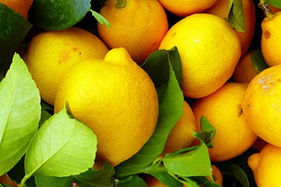 Cytrynowy detoks, czyli oczyszczanie organizmu sokiem z cytryny