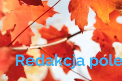 Redakcja poleca: listopadowe must have do domu i dla rodziny!