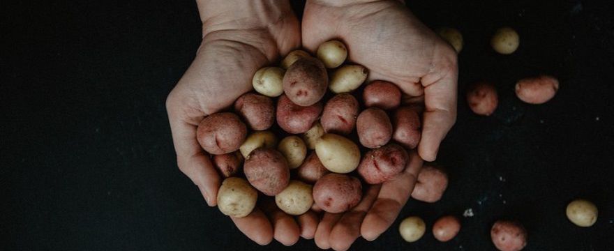 Obierki po ziemniakach: nie wyrzucaj! Zobacz, jak wykorzystać obierki z ziemniaków i być ZEROWASTE 