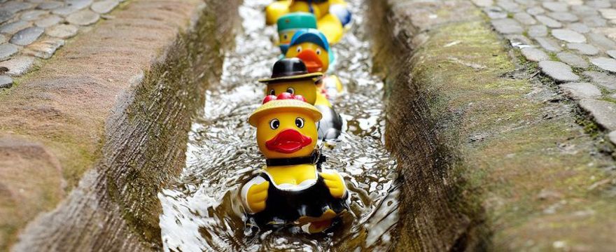 Słodkie gumowe kaczuszki do kąpieli – TO w nich żyje! ZOBACZ