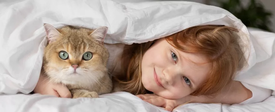 Zwierzęta w łóżku. Czy dziecko może spać z psem lub kotem?