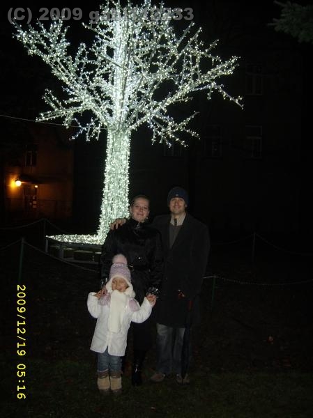 Takie oto świecące drzewko mieliśmy okazję podziwiac.