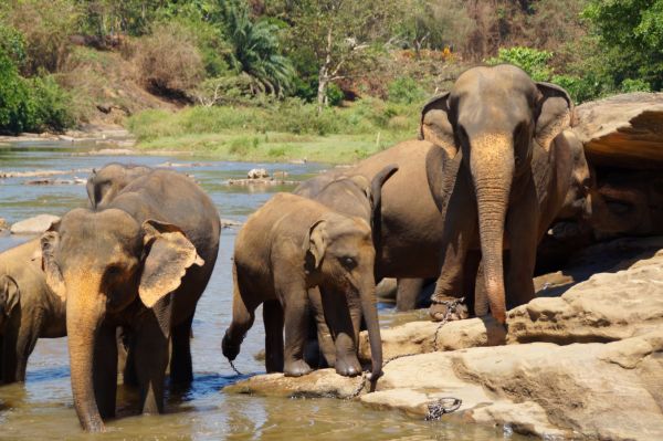 SRI LANKA